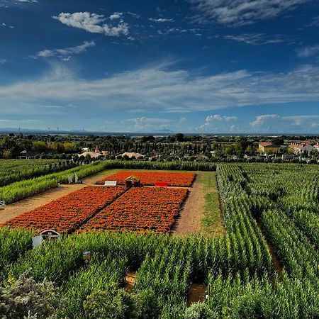 Appartamento La Rondine Pignataro Maggiore Bagian luar foto
